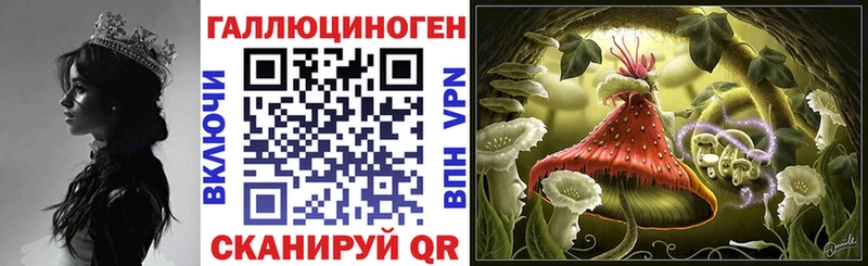 Галлюциногенные грибы прущие грибы  Купить где  Ейск 